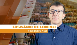 Losivânio de Lorenzi - Presidente ACCS