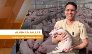Alvimar Jalles - Consultor de Mercado da ASEMG