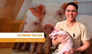Alvimar Jalles - Consultor de Mercado da ASEMG