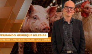Fernando Henrique Iglesias - Analista da Safras & Mercado