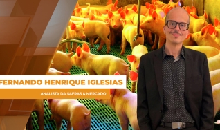 Fernando Henrique Iglesias - Analista da Safras & Mercado