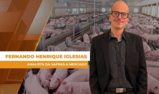 Fernando Henrique Iglesias - Analista da Safras & Mercado
