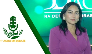 Dra. Suzi Artuzi - Advogada especialista em Recuperação Judicial