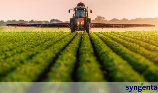 Novo fungicida da Syngenta