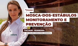 Taciany Ferreira - CEO Volare Consultoria Ambiental