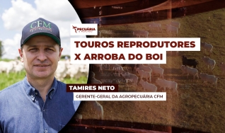 Tamires Neto - Gerente-Geral da agropecuária CFM