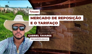 Gabriel Tavares - Pecuarista