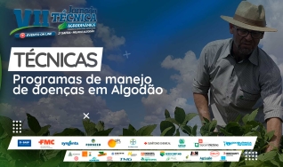 Apresentação Técnica
