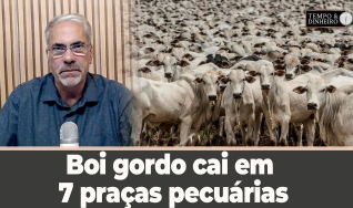 Tempo e Dinheiro