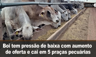 Tempo & Dinheiro