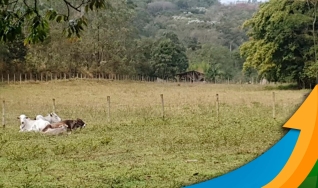 Albenir Querubini e Wellington Barros - Vice-Presidente da UBAU e Advogado Especialista em Direito Agrário