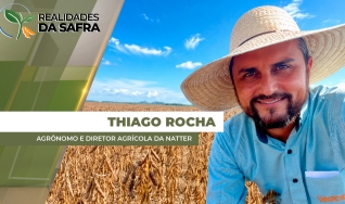 Thiago Rocha - Agrônomo e Diretor Agrícola da Natter