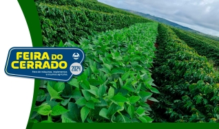 Thiago Romagnoli, Produtor Rural no Cerrado Mineiro