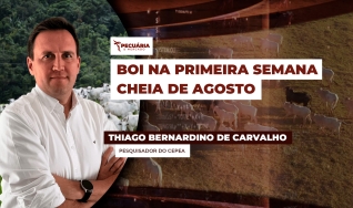 Thiago Bernardino de Carvalho - Pesquisador do Cepea