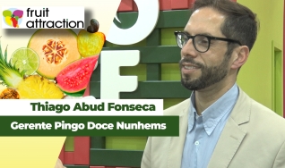 Thiago Abud Fonseca