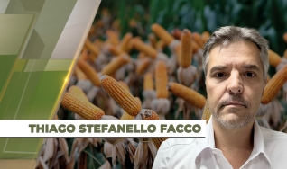 Thiago Stefanello Facco - Vice-Presidente da Aprosoja TO