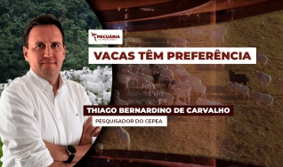 Thiago Bernardino de Carvalho - Pesquisador do Cepea