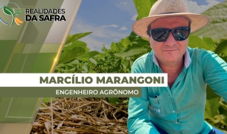 Marcílio Fernandes Marangoni - Engenheiro Agrônomo de Darcinópolis - TO