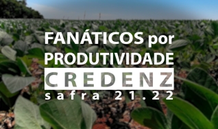 Websérie fanáticos por produtividade CREDENZ