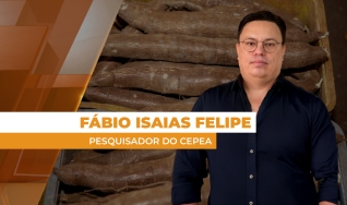 Fábio Isaias Felipe - Pesquisador do Cepea
