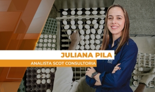 Juliana Pila - Analista Scot Consultoria