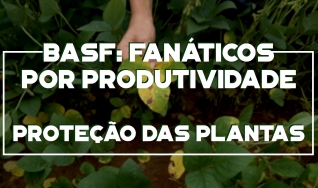 Websérie - Fanáticos por produtividade Credenz e  as dicas para otimizar a proteção das plantas
