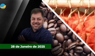 Fechamento de Mercado - Com Aleksander Horta