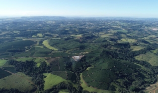 Virginia