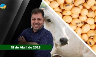Fechamento de Mercado - Com Aleksander Horta
