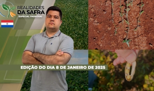 Realidades da Safra