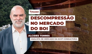 Alcides Torres - Analista de Mercado da Scot Consultoria