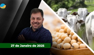 Fechamento de Mercado - Com Aleksander Horta