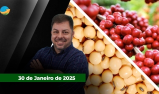 Fechamento de mercado, com Aleksander Horta.