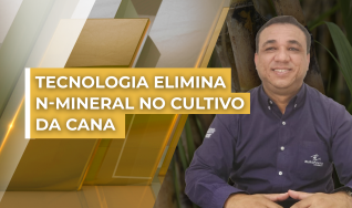 Luciano Antoniol de Almeida - Gerente de Marketing Cana de Açúcar e Floresta na Euroforte