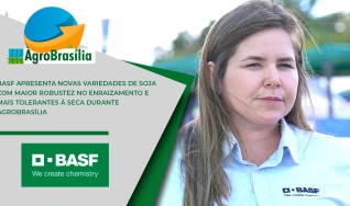 Ana Claudia Pípoli - Desenvolvimento Mercado - Sementes / Basf