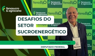 Arnaldo Jardim - Deputado Federal