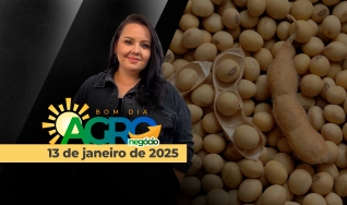 Bom Dia Agro - Com Carla Mendes