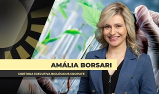 Amália Borsari