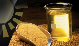 Eduardo Vanin