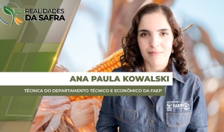Ana Paula Kowalski - Técnica do Departamento Técnico e Econômico da FAEP