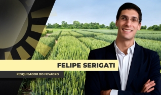 Felippe Serigati - Pesquisador do FGVAgro