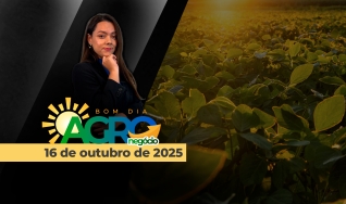 Bom Dia Agro - com Andressa Simão