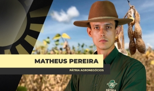 Matheus Pereira - Sócio-Diretor da Pátria Agronegócios