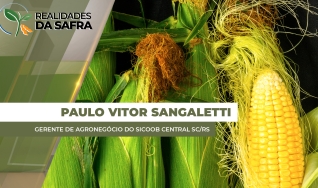 Paulo Vitor Sangaletti - Gerente de Agronegócio do Sicoob Central SC/RS
