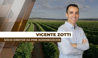 Vicente Zotti - Sócio Diretor da Pine Agronegócios