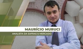 Maurício Muruci - Analista da Safras & Mercado