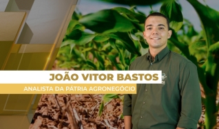 João Vitor Bastos - Analista de Mercado da Pátria Agronegócio