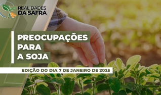 Realidades da Safra