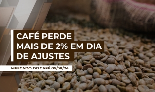 Lúcio Dias - Analista e consultor em agronegócio
