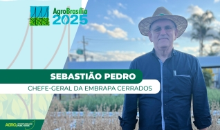 Sebastião Pedro, Chefe-geral da Embrapa Cerrados
